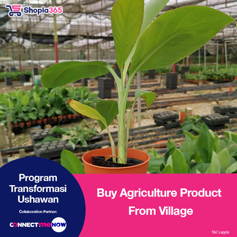 Buy Agriculture Product From Village