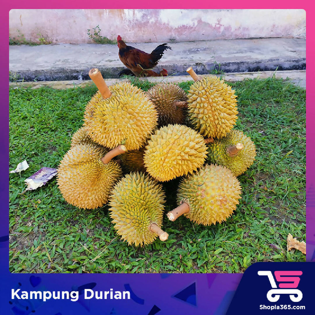 (Preorder) Fresh Kampung Durian (5kg)