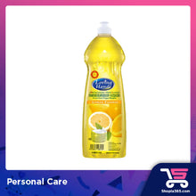 Load image into Gallery viewer, Loving Hands Dish Wash 1000ml - (Lime / Lemon)
