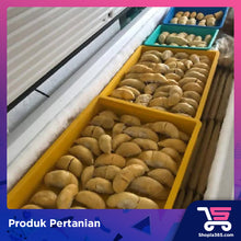 Load image into Gallery viewer, PAHANG DURIAN 彭亨榴莲
