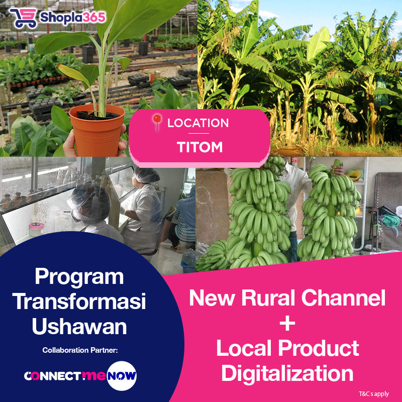 Banana Program Transformasi Usahawan (PTU) - Titom
